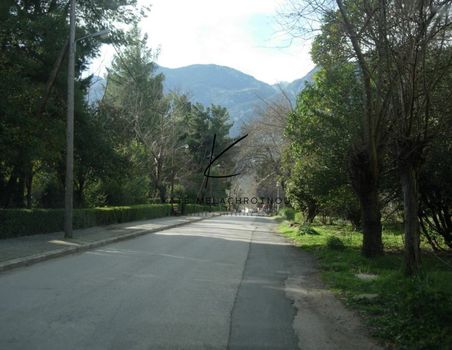 Hotel 1.100sqm for sale-Leianokladi