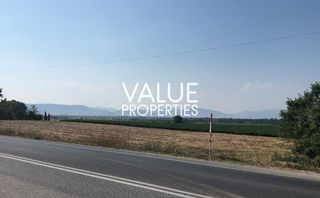 Οικόπεδο 40.000 τ.μ. για πώληση, Ν. Λάρισας, Λάρισα-thumb-2