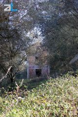 Οικόπεδο 2.000 τ.μ. για πώληση, Αχαΐα, Ωλένια-thumb-7