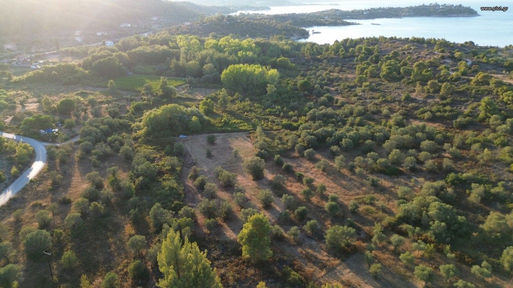 Αγροτεμάχια 4.000 τ.μ. πρός πώληση, Χαλκιδική, Σιθωνία