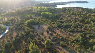 Αγροτεμάχια 4.000 τ.μ. για πώληση