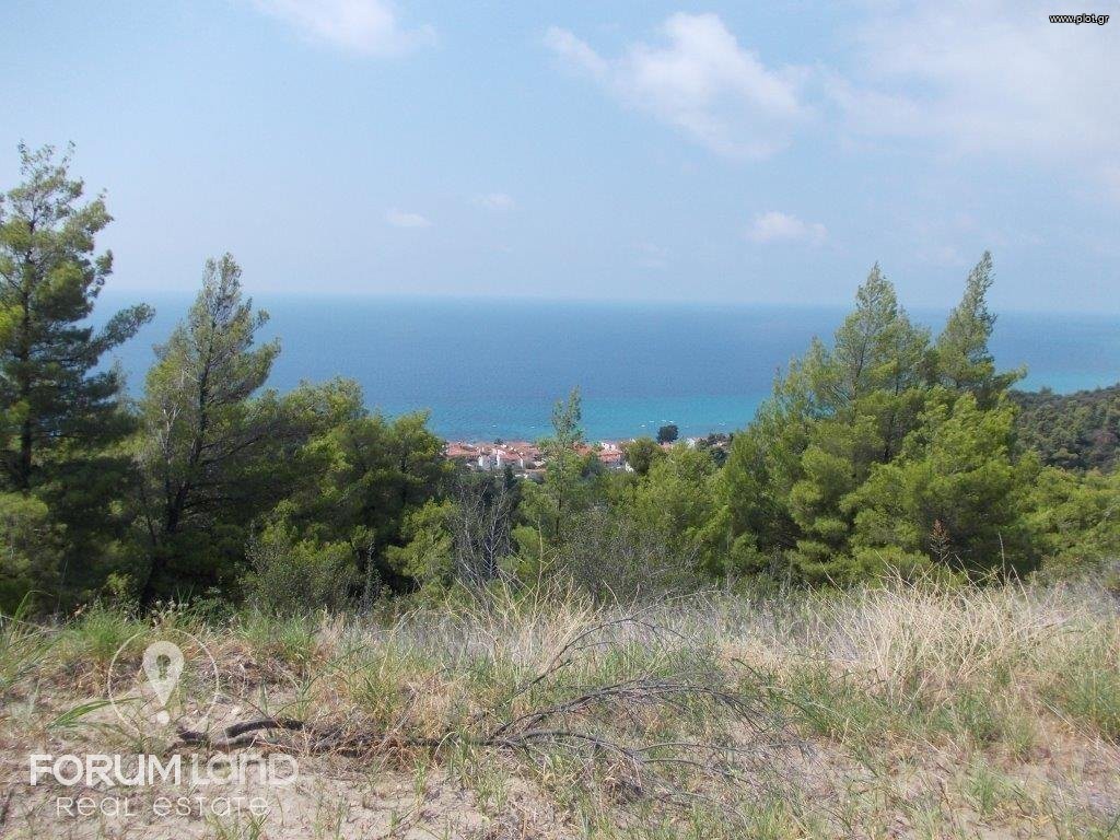 Αγροτεμάχια 16.000 τ.μ. προς πώληση, Παλιούρι Παλλήνης