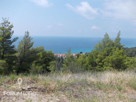 Αγροτεμάχια 16.000τ.μ. για πώληση-Παλλήνη » Παλιούρι