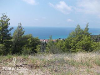 Αγροτεμάχια 16.000 τ.μ. για πώληση