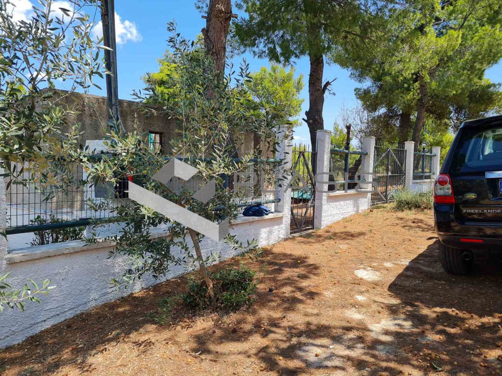 Διαμέρισμα 40 τ.μ. πρός πώληση, Αττική - Υπόλοιπο, Ωρωπός