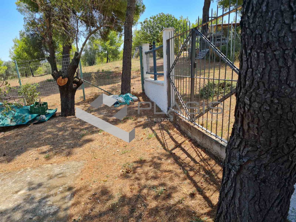 Διαμέρισμα 40 τ.μ. πρός πώληση, Αττική - Υπόλοιπο, Ωρωπός