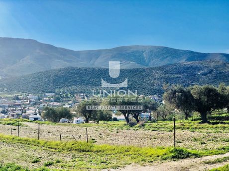 Οικόπεδο 1.250 τ.μ. πρός πώληση