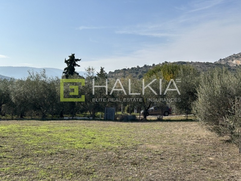 Οικόπεδο 408 τ.μ. πρός πώληση, Μαγνησία, Βόλος