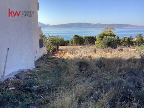 Οικόπεδο 610,12τ.μ. για πώληση-Νέα πέραμος (μεγάλο πεύκο)