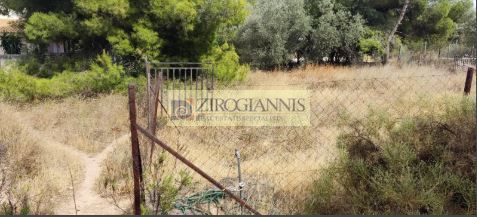 Οικόπεδο 700 τ.μ. για πώληση, Αθήνα - Ανατολικά Προάστια, Σπάτα