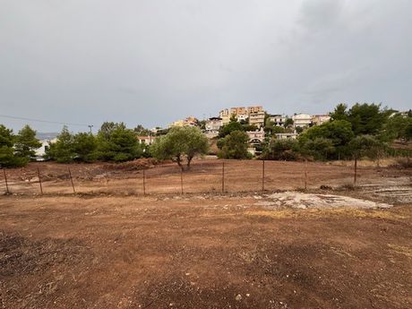 Οικόπεδο 1.640 τ.μ. προς πώληση