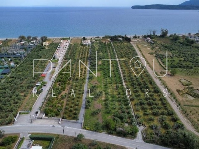 Αγροτεμάχια 11.440 τ.μ. πρός πώληση, Λακωνία, Γύθειο