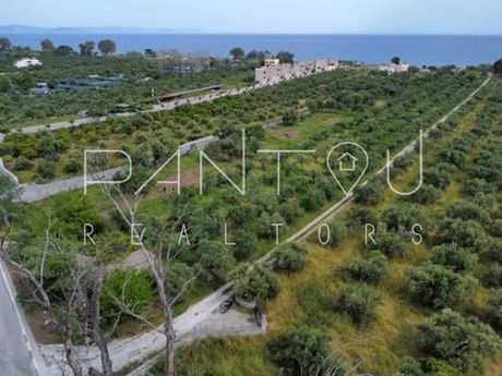 Αγροτεμάχια 11.440τ.μ. για πώληση-Γύθειο » Μαυροβούνι