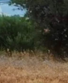 Οικόπεδο 712τ.μ. για πώληση-Γλυφάδα » Γκολφ