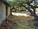 Οικόπεδο 748τ.μ. για πώληση-Λεύκτρος » Προσήλιο