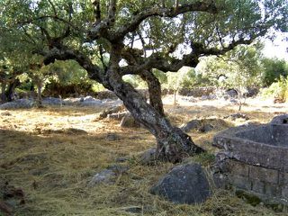 Οικόπεδο 748 τ.μ. για πώληση, Μεσσηνία, Λεύκτρος-thumb-4