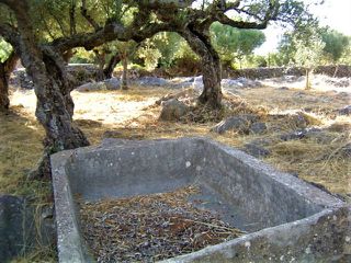 Οικόπεδο 748 τ.μ. για πώληση, Μεσσηνία, Λεύκτρος-thumb-5
