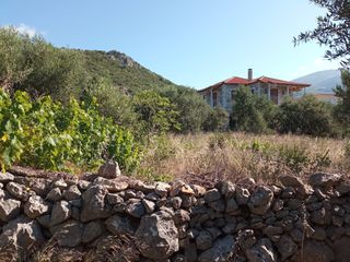 Οικόπεδο 748 τ.μ. για πώληση, Μεσσηνία, Λεύκτρος-thumb-7