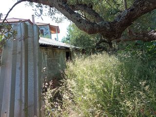 Οικόπεδο 748 τ.μ. για πώληση, Μεσσηνία, Λεύκτρος-thumb-12