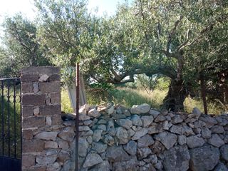 Οικόπεδο 748 τ.μ. για πώληση, Μεσσηνία, Λεύκτρος-thumb-16