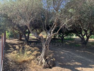 Οικόπεδο 400 τ.μ. για πώληση, Αχαΐα, Ρίο-thumb-3