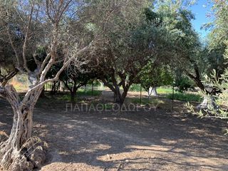 Οικόπεδο 400 τ.μ. για πώληση, Αχαΐα, Ρίο-thumb-1