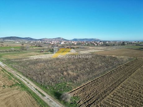 Αγροτεμάχια 5.000τ.μ. για πώληση-Τραϊανούπολη » Άνθεια