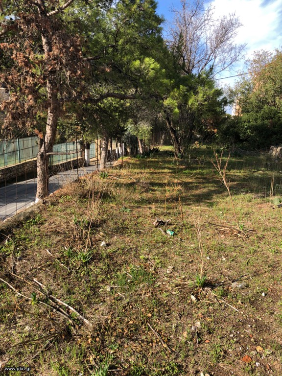 Οικόπεδο 1.000 τ.μ. προς πώληση, Χωριό Καλύμνου