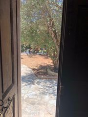 Οικόπεδο 1.000 τ.μ. προς πώληση, Χωριό Καλύμνου-thumb-10