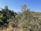Parcel 5.453sqm for sale-Lefkada » Apollonio