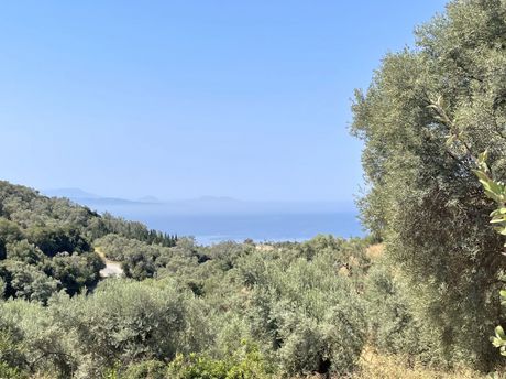 Αγροτεμάχια 10.513 τ.μ. για πώληση