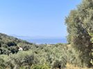 Parcel 10.513sqm for sale-Lefkada » Apollonio