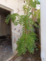 Οικόπεδο 165 τ.μ. προς πώληση, Νίκαια-thumb-10