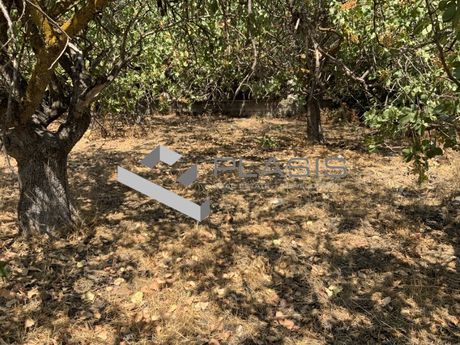 Land plot 650sqm for sale-Lykovrisi