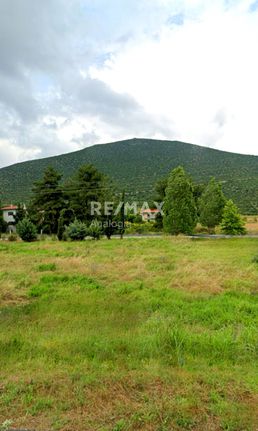 Οικόπεδο 904 τ.μ. για πώληση, Χαλκιδική, Ανθεμούντας