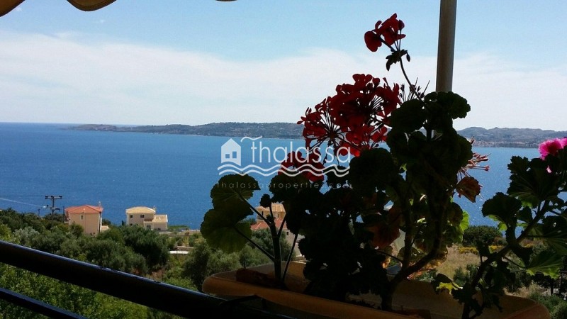 Επιχείρηση 60 τ.μ. πρός ενοικίαση, Ν. Κεφαλονιάς, Κεφαλονιά