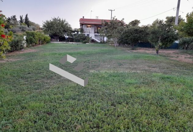 Μονοκατοικία 146 τ.μ. για πώληση, Αττική - Υπόλοιπο, Ραφήνα