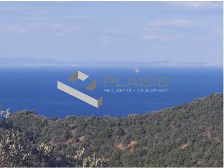 Οικόπεδο 226.000τ.μ. για πώληση-Τροιζήνα