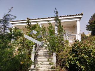 Βίλλα 500 τ.μ. για πώληση