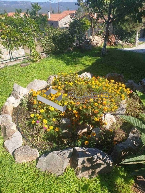 Μονοκατοικία 105 τ.μ. πρός πώληση, Φθιώτιδας, Αμφίκλεια