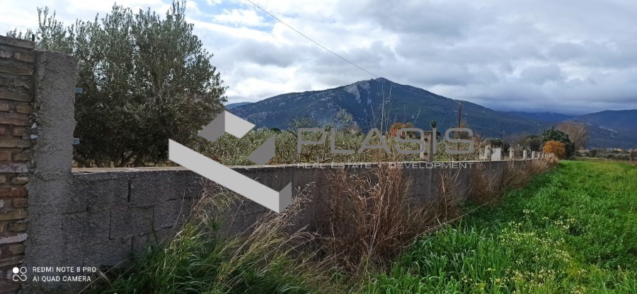 Οικόπεδο 5.000 τ.μ. πρός πώληση, Αθήνα - Ανατολικά Προάστια, Μαραθώνας