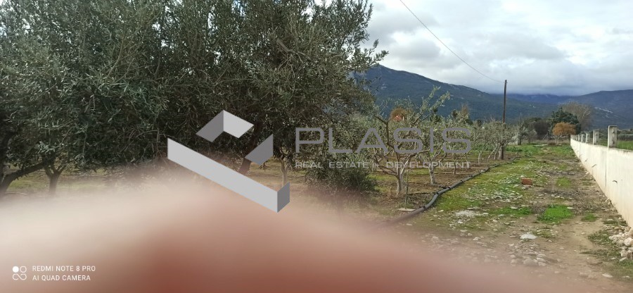 Οικόπεδο 5.000 τ.μ. πρός πώληση, Αθήνα - Ανατολικά Προάστια, Μαραθώνας