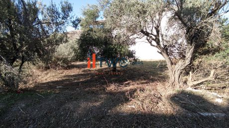 Land plot 500sqm for sale-Fili