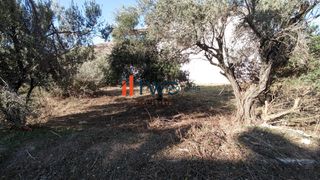 Οικόπεδο 500 τ.μ. πρός πώληση