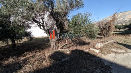 Οικόπεδο 500 τ.μ. για πώληση