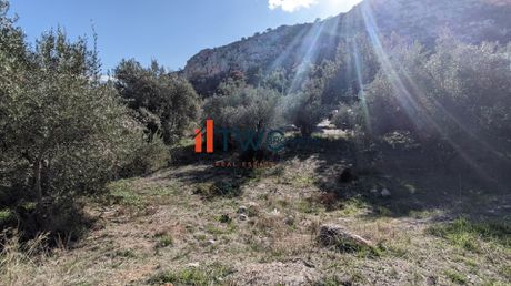 Οικόπεδο 412τ.μ. για πώληση-Φυλή