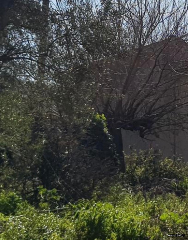 Οικόπεδο 658 τ.μ. προς πώληση, Αιξωνή
