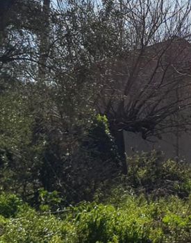 Οικόπεδο 658 τ.μ. για πώληση