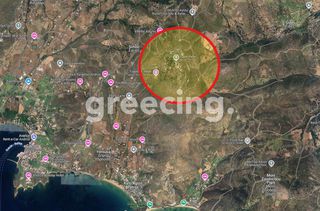 Οικόπεδο 4.000 τ.μ. για πώληση