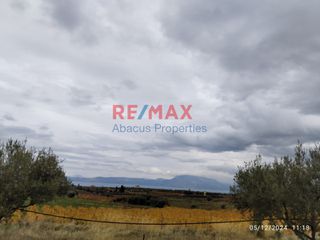 Αγροτεμάχια 20.000 τ.μ. για πώληση